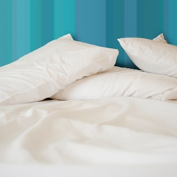 Standard Size T-180 Pure Finish Pillowcase Imported (Per Dozen)